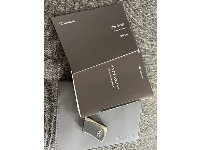 TOYOTA LEXUS NX450H+ AWD 2023 Image 31