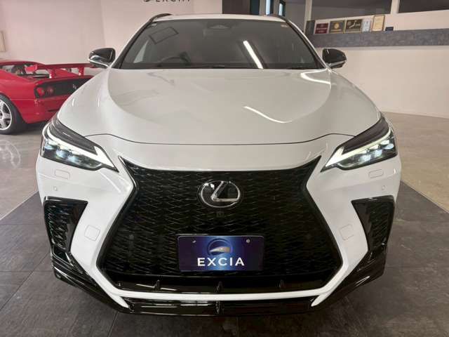 TOYOTA LEXUS NX450H+ AWD 2023 Image 31