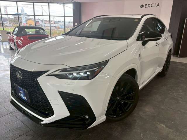TOYOTA LEXUS NX450H+ AWD 2023 Image 31
