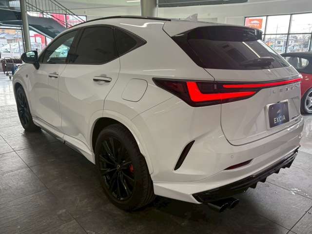 TOYOTA LEXUS NX450H+ AWD 2023 Image 31