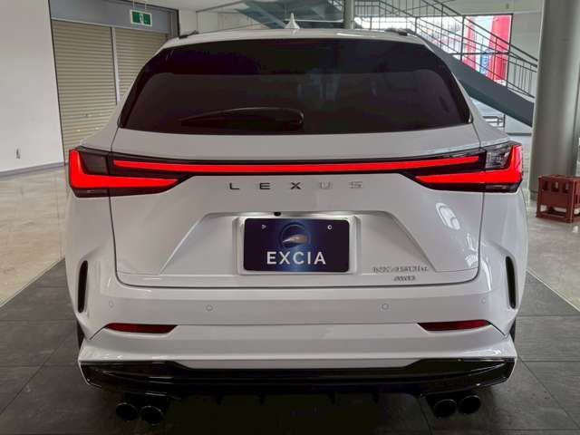 TOYOTA LEXUS NX450H+ AWD 2023 Image 31