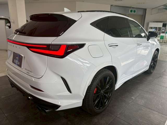 TOYOTA LEXUS NX450H+ AWD 2023 Image 31