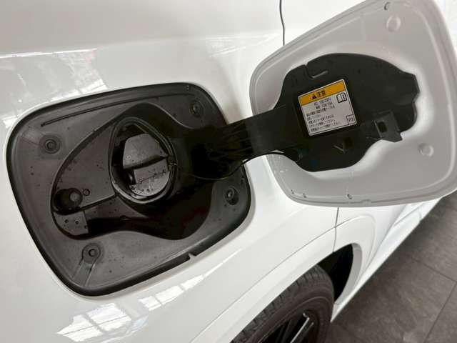 TOYOTA LEXUS NX450H+ AWD 2023 Image 31