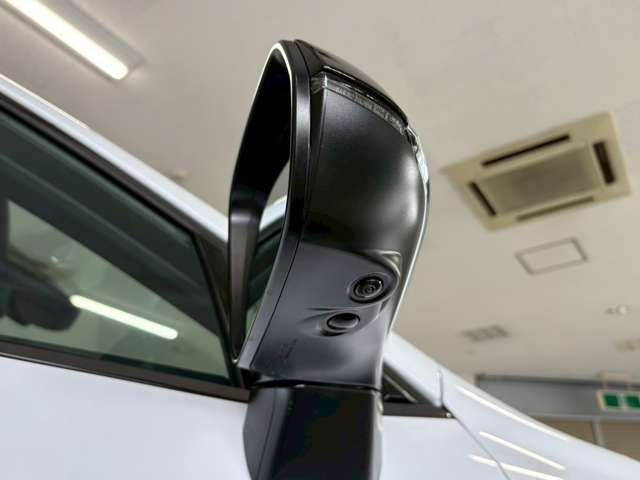 TOYOTA LEXUS NX450H+ AWD 2023 Image 31