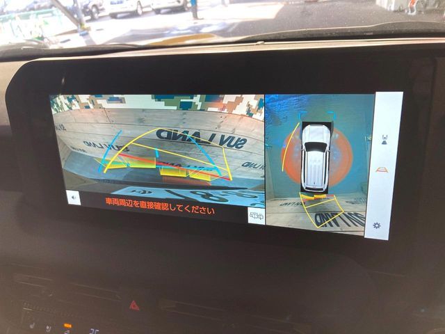 TOYOTA LANDCRUISER 250 2024 Image 31