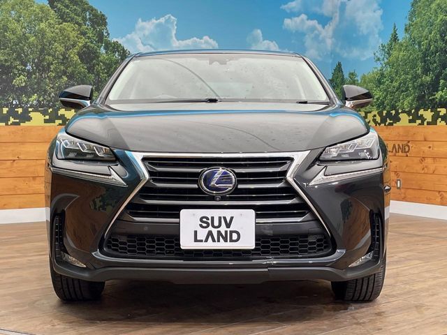 TOYOTA LEXUS NX300H AWD 2017 Image 31