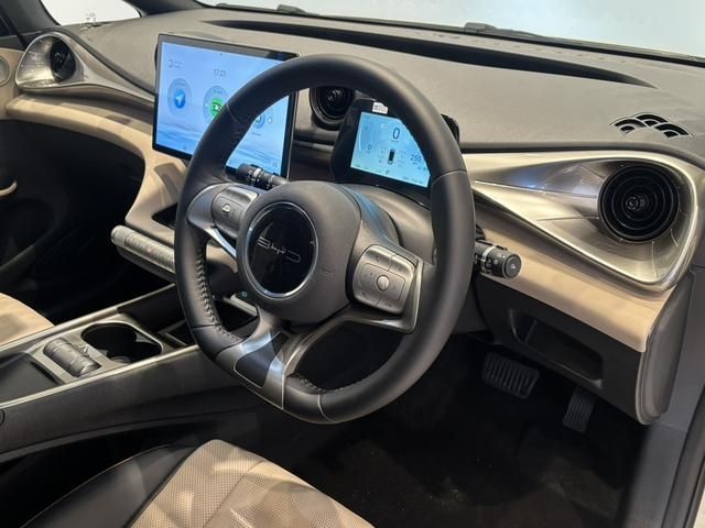 BYD DOLPHIN 2024 Image 31