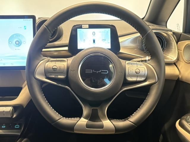 BYD DOLPHIN 2024 Image 31