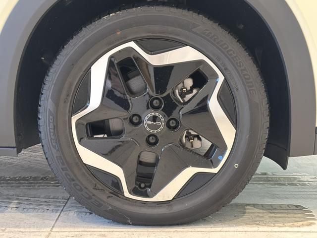 BYD DOLPHIN 2024 Image 31