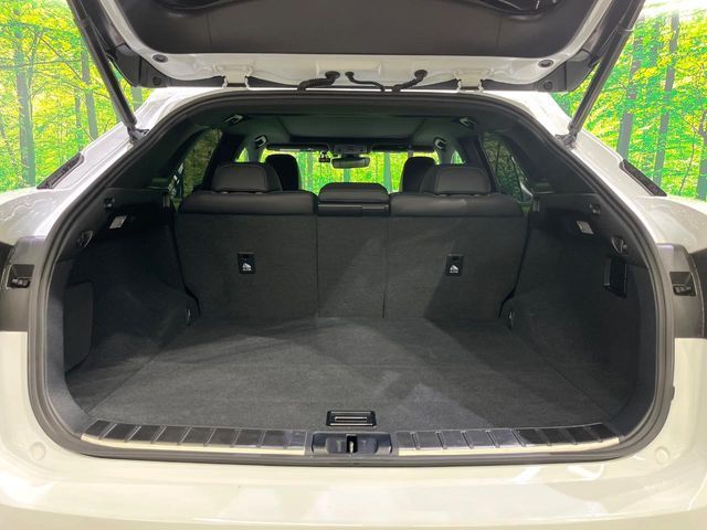 TOYOTA LEXUS RX200T AWD 2017 Image 31