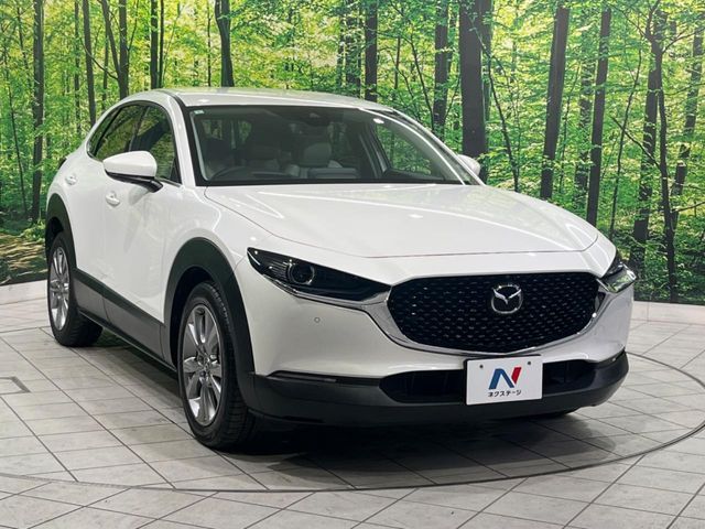 MAZDA CX-30 2021 Image 31