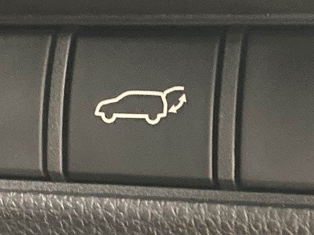 TOYOTA LANDCRUISER 250 2024 Image 31