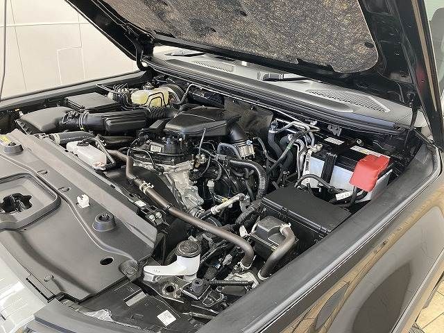 TOYOTA LANDCRUISER 250 2024 Image 31