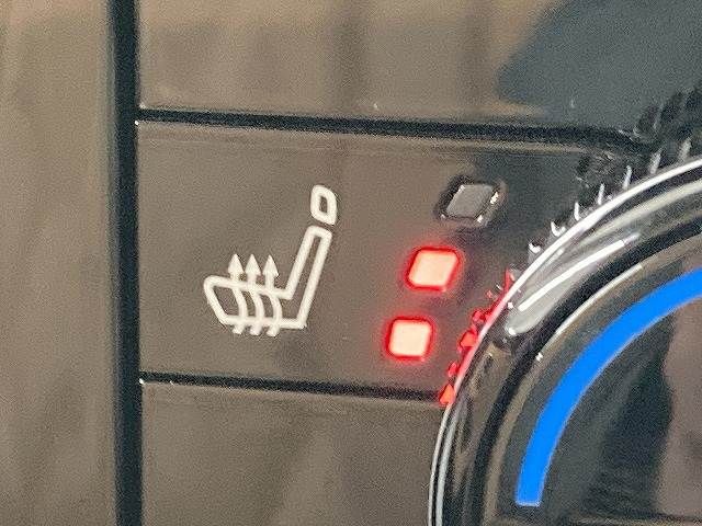 NISSAN X-TRAIL HYBRID 4WD 2023 Image 31