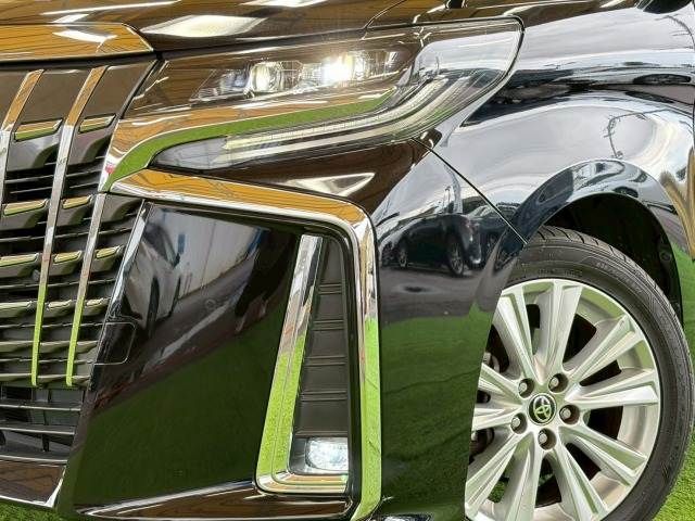 TOYOTA ALPHARD 2020 Image 31