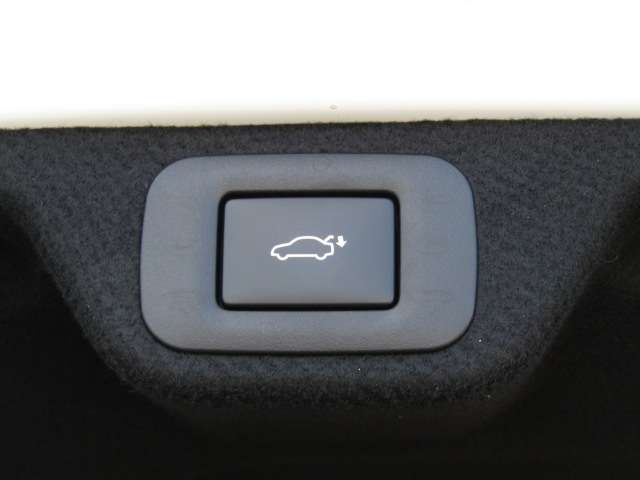 TOYOTA CROWN SEDAN HYBRID 2024 Image 31