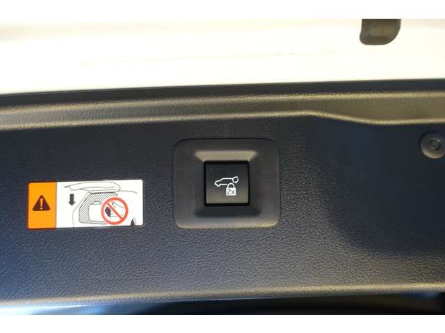 TOYOTA ALPHARD HYBRID 2023 Image 31