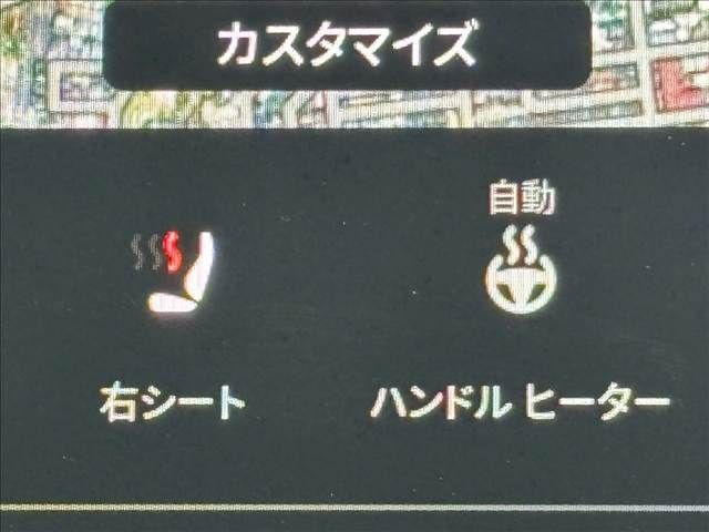 TESLA MODEL Y 2023 Image 31