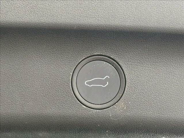 TESLA MODEL Y 2023 Image 31