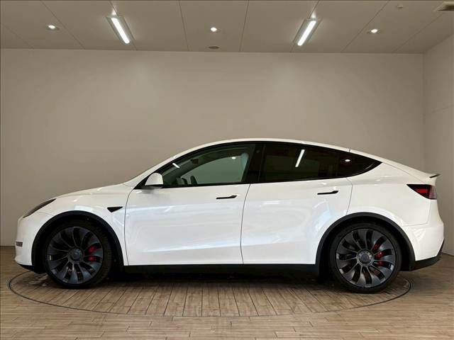 TESLA MODEL Y 2023 Image 31