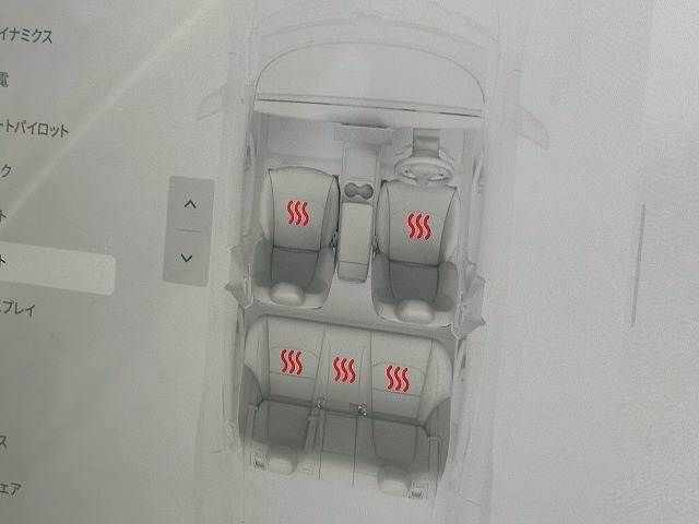 TESLA MODEL 3 2023 Image 31