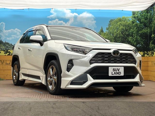 TOYOTA RAV4 4WD 2019 Image 31