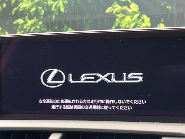 TOYOTA LEXUS NX300 AWD 2019 Image 31