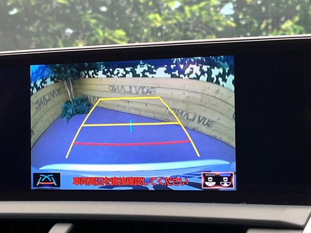 TOYOTA LEXUS NX300 AWD 2019 Image 31