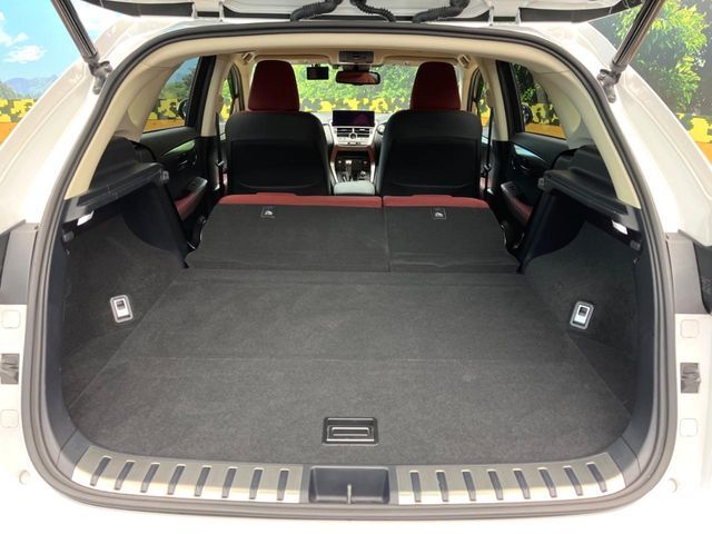 TOYOTA LEXUS NX300 AWD 2019 Image 31