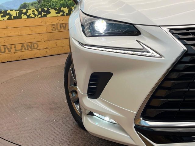 TOYOTA LEXUS NX300 AWD 2019 Image 31