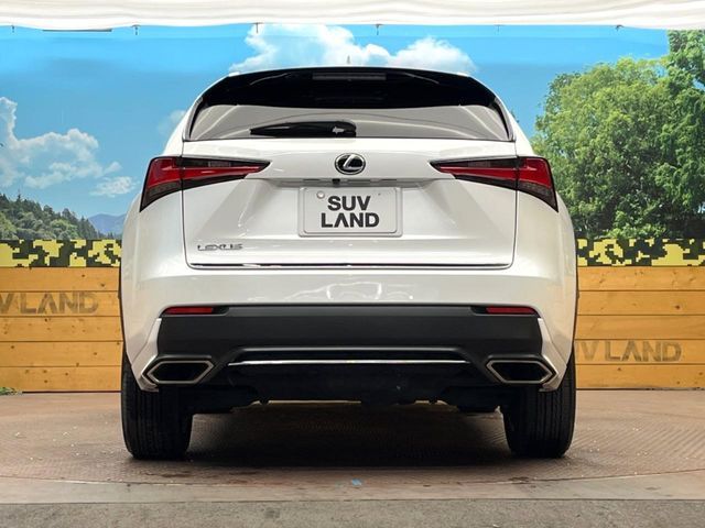 TOYOTA LEXUS NX300 AWD 2019 Image 31