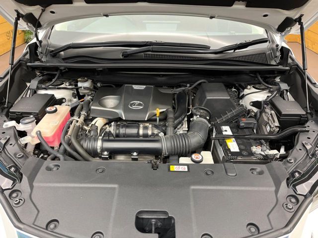 TOYOTA LEXUS NX300 AWD 2019 Image 31