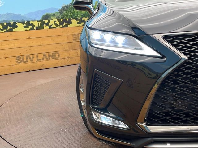 TOYOTA LEXUS RX450H AWD 2019 Image 31