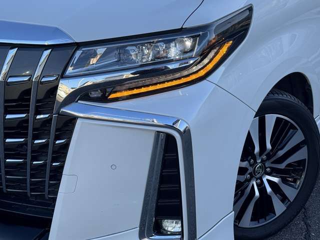 TOYOTA ALPHARD 2019 Image 31