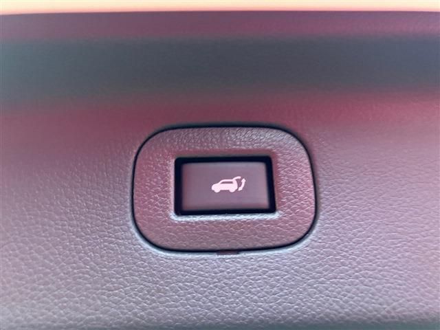 NISSAN ELGRAND  4WD 2020 Image 31