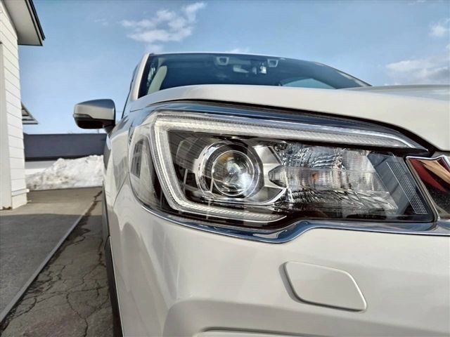 SUBARU FORESTER 2019 Image 31