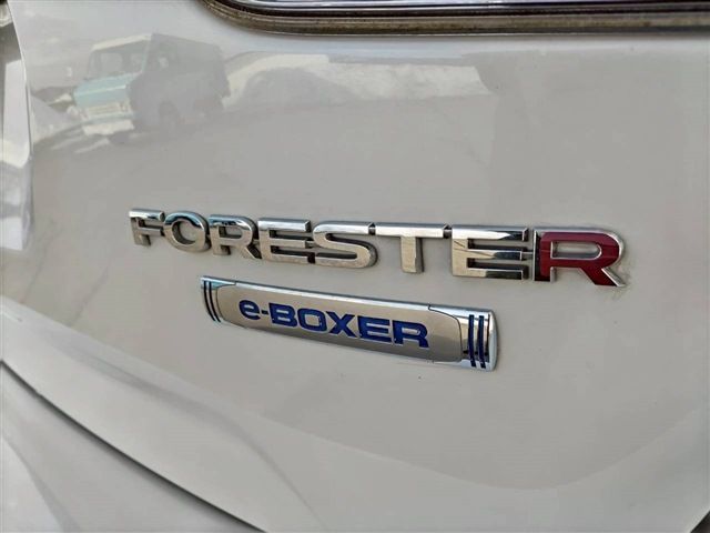 SUBARU FORESTER 2019 Image 31