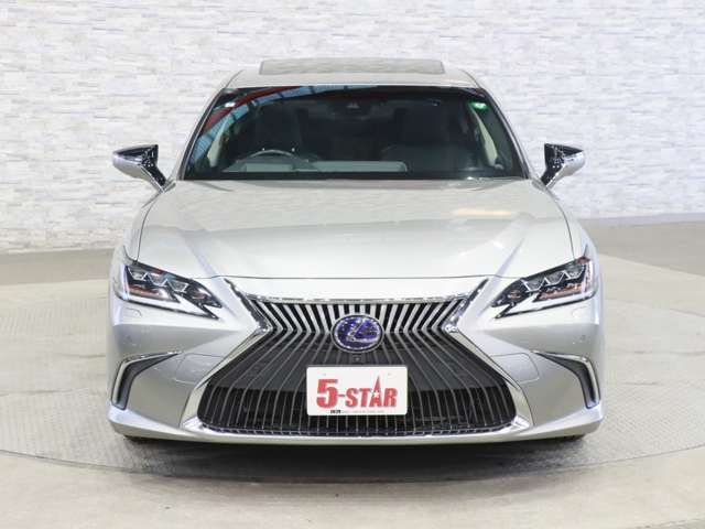 TOYOTA LEXUS ES300H 2019 Image 31
