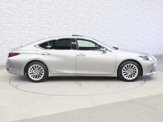 TOYOTA LEXUS ES300H 2019 Image 31