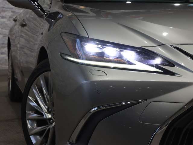 TOYOTA LEXUS ES300H 2019 Image 31