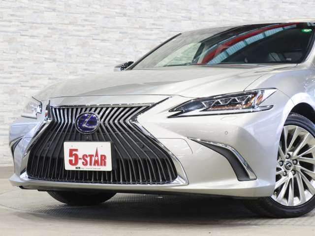 TOYOTA LEXUS ES300H 2019 Image 31