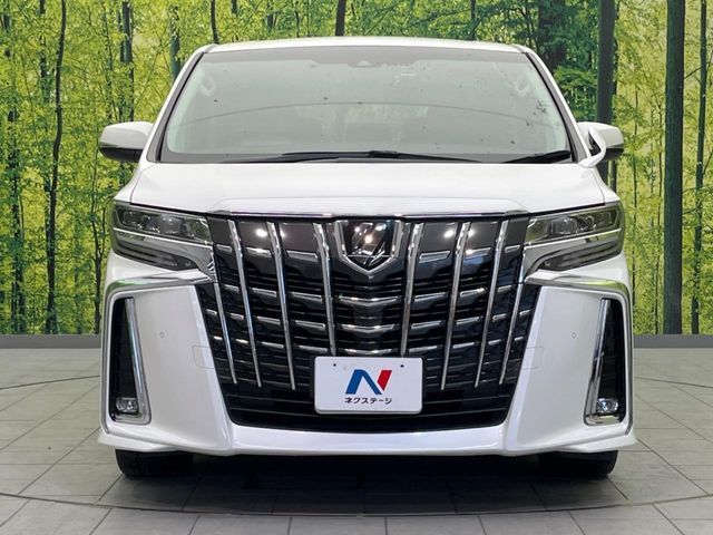 TOYOTA ALPHARD 2019 Image 31