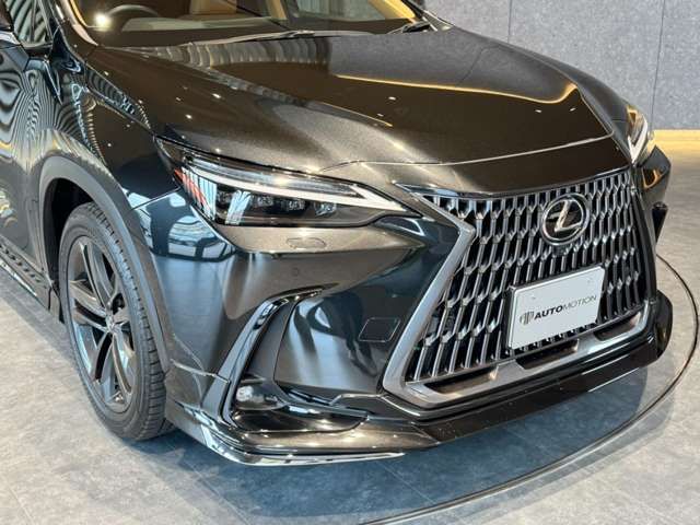 TOYOTA LEXUS NX250 2022 Image 31
