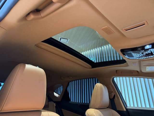 TOYOTA LEXUS NX250 2022 Image 31