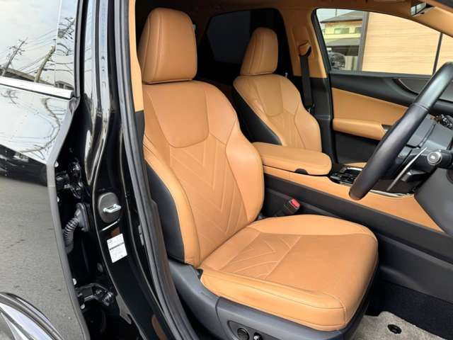 TOYOTA LEXUS NX250 2022 Image 31