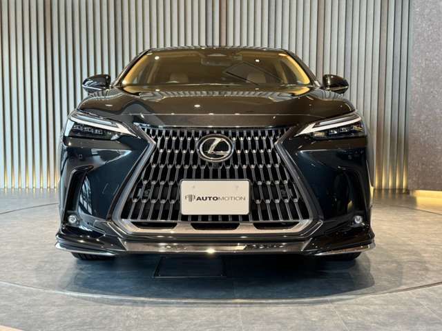 TOYOTA LEXUS NX250 2022 Image 31