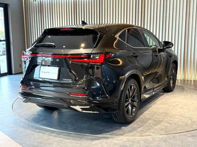 TOYOTA LEXUS NX250 2022 Image 31