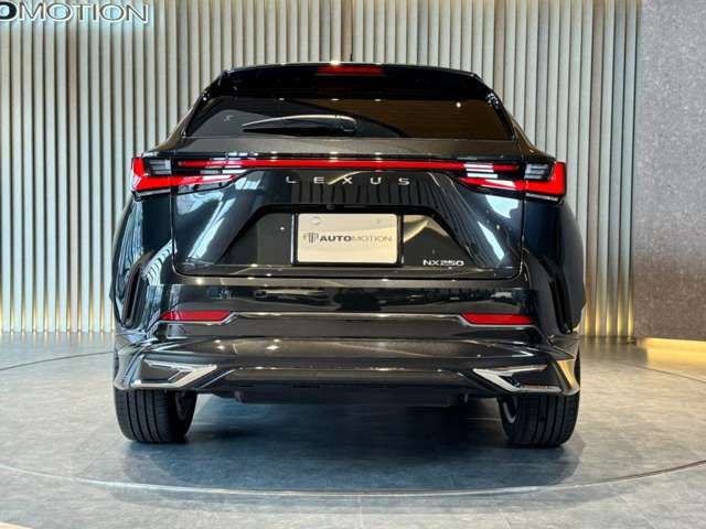 TOYOTA LEXUS NX250 2022 Image 31
