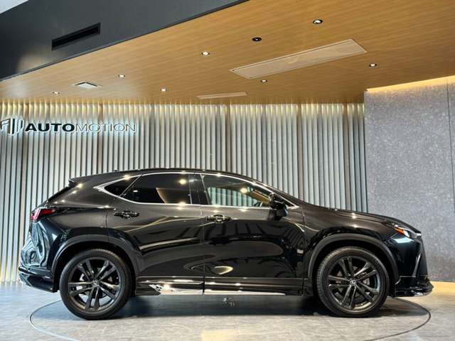 TOYOTA LEXUS NX250 2022 Image 31