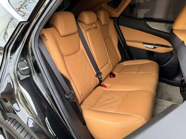 TOYOTA LEXUS NX250 2022 Image 31